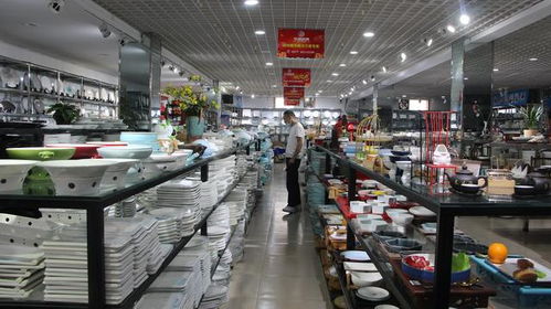 国医大师张伯礼院士受聘担任南阳厨具卫具行业健康首席顾问